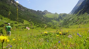 Almwiese im Hochgebirgs-Naturpark Zillertaler Alpen ©Hochgebirgs-Naturpark Zillertaler Alpen